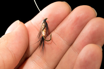 fly to catch fish in a hand on a black background