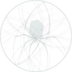 Fototapeta premium Silhouette of spider created by circles. Round monochrome image