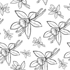 Vanilla pods and flower_ pattern