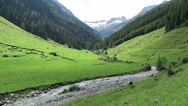Zillertal valley landscape with meadow, barn and stream. Located at Schoenachtal valley in Tirol (Austria).