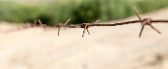 barbed wire fence in the nature