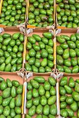 Avocados on street market stall