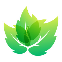 Leaf icon vector illustration.