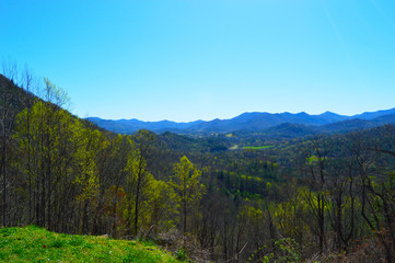 Fototapeta na wymiar View of mountains with trees and blue sky