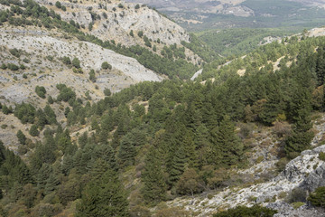 Fototapeta na wymiar Parque Natural Sierras de Tejeda, Almijara y Alhama, Andalucía