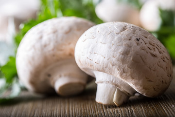 Mushroom. Champions  mushrooms in different positions with herb decoration.