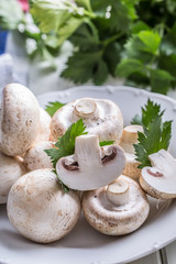 Mushroom. Champions  mushrooms in different positions with herb decoration.