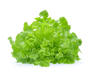 Green oak lettuce with water drops isolated on white background.