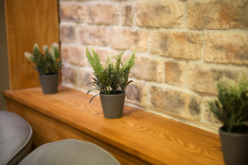 Potted plans against brick wall in interior