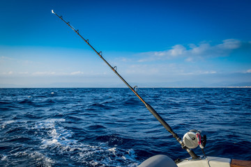 The fishing-rod equipped with the coil