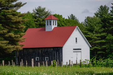 Across the Field