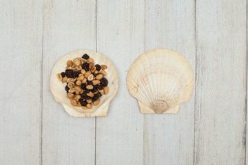 sea shell as bowl for snacks