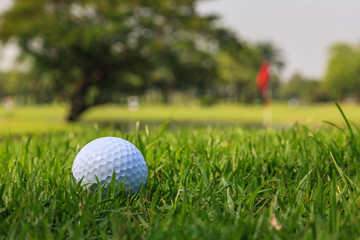 Golf ball on green grass