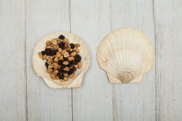 sea shell as bowl for snacks