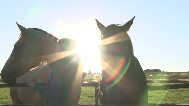 Model released woman with her two horses enjoying sunny day in Washington at ranch.