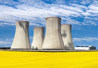 Nuclear power plant with rapeseed field