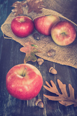 Autumn harvest apples with acorns and leaves © littleny