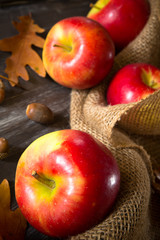 Autumn harvest apples with acorns and leaves