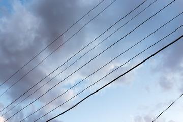 Fototapeta premium electrical wires on a background of night sky