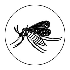 Mosquito icon. Insect animal and infestation theme. Isolated design. Vector illustration