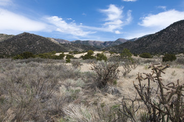 Bear Canyon