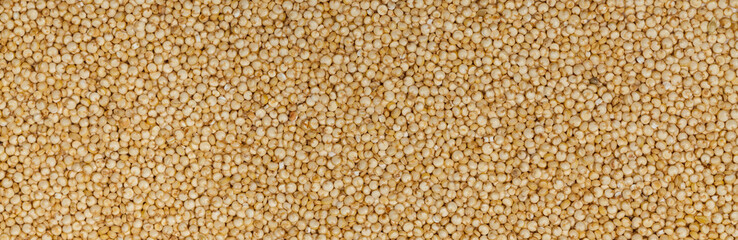Quinoa. Selective focus.