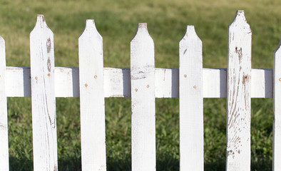 white wooden fence on nature