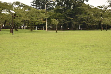 ソーラーと芝生