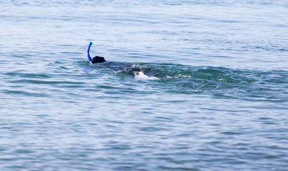 Fototapeta premium diver on the lake