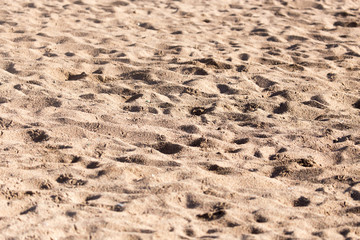 the sand on the beach as background