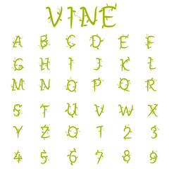 Vine alphabet and number