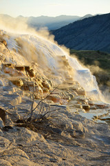 Mammoth Hot Springs in Yellowstone