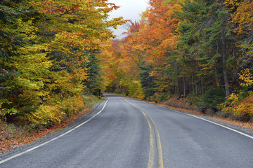 Fototapeta premium Driving in Autumn foliage with red, orange and yellow fall colors in the forest