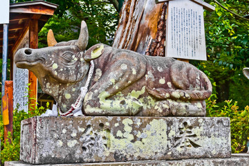 長岡天満宮 神牛