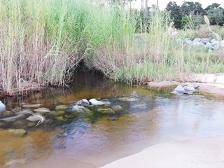 creek flowing into the bay