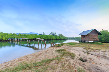 Fototapeta na wymiar Reed cottage and Old broken bridge in mangrove forest