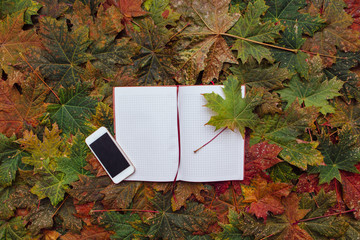Naklejka na ściany i meble Notebook and mobile phone on the maple leaves.