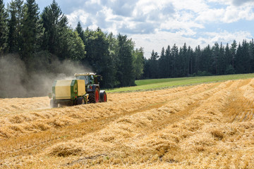 Tractor on field - harvesting the corn