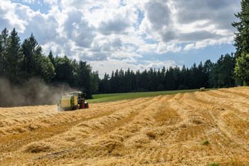Fototapeta premium Tractor on field - harvesting the corn