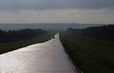 stroll along the road in the fog