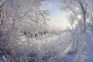 sunny winter day on the river Kama