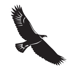Isolated black eagle on white background