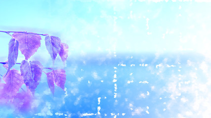 Vereiste Blätter vor winterlichem Hintergrund