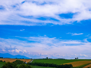 Obraz premium 北海道 美瑛町