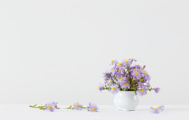 Aster amellus bouquet in ceramic vase on white background