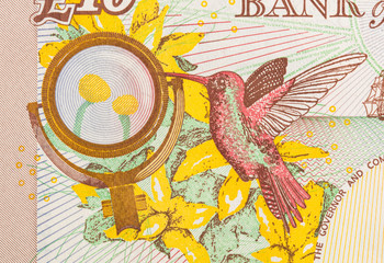 Pound currency background - 10 Pounds