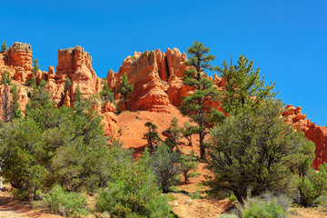 The Bryce Canyon National Park, Utah, United States