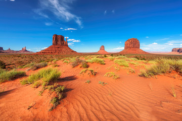 Sand dunes in Arizona desert, Monument Valley, Arizona, USA © lucky-photo
