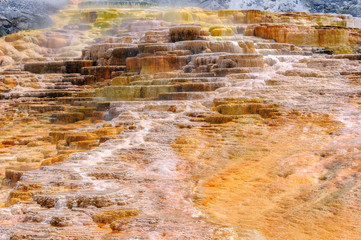 Mammoth Hot Springs, Yellowstone National Park, Wyoming, USA