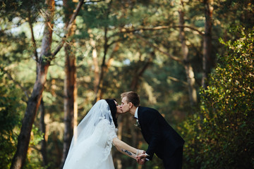 Fototapeta premium Beautiful wedding couple kissing